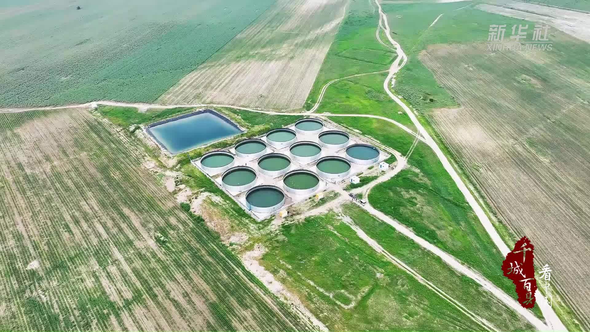 千城百县看中国｜内蒙古：智慧灌溉赋能旱田迭代新生