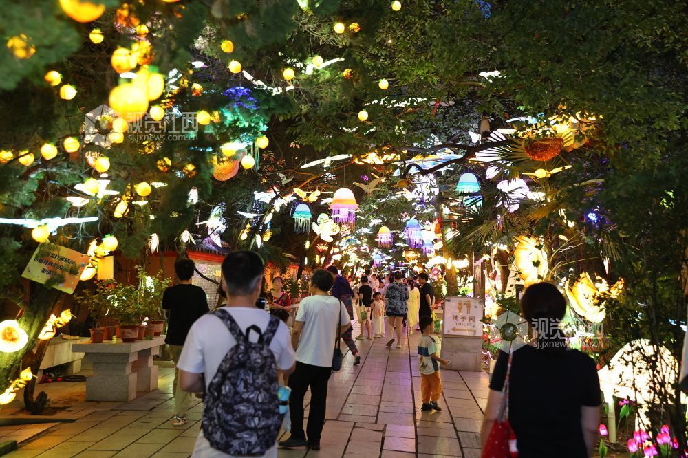 8月6日，游人在南昌天香园赏灯夜游。