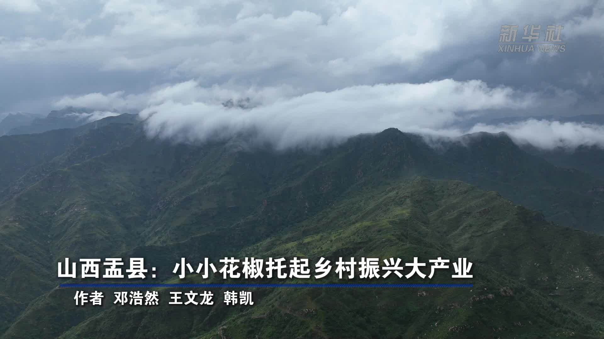 山西盂县：小小花椒托起乡村振兴大产业