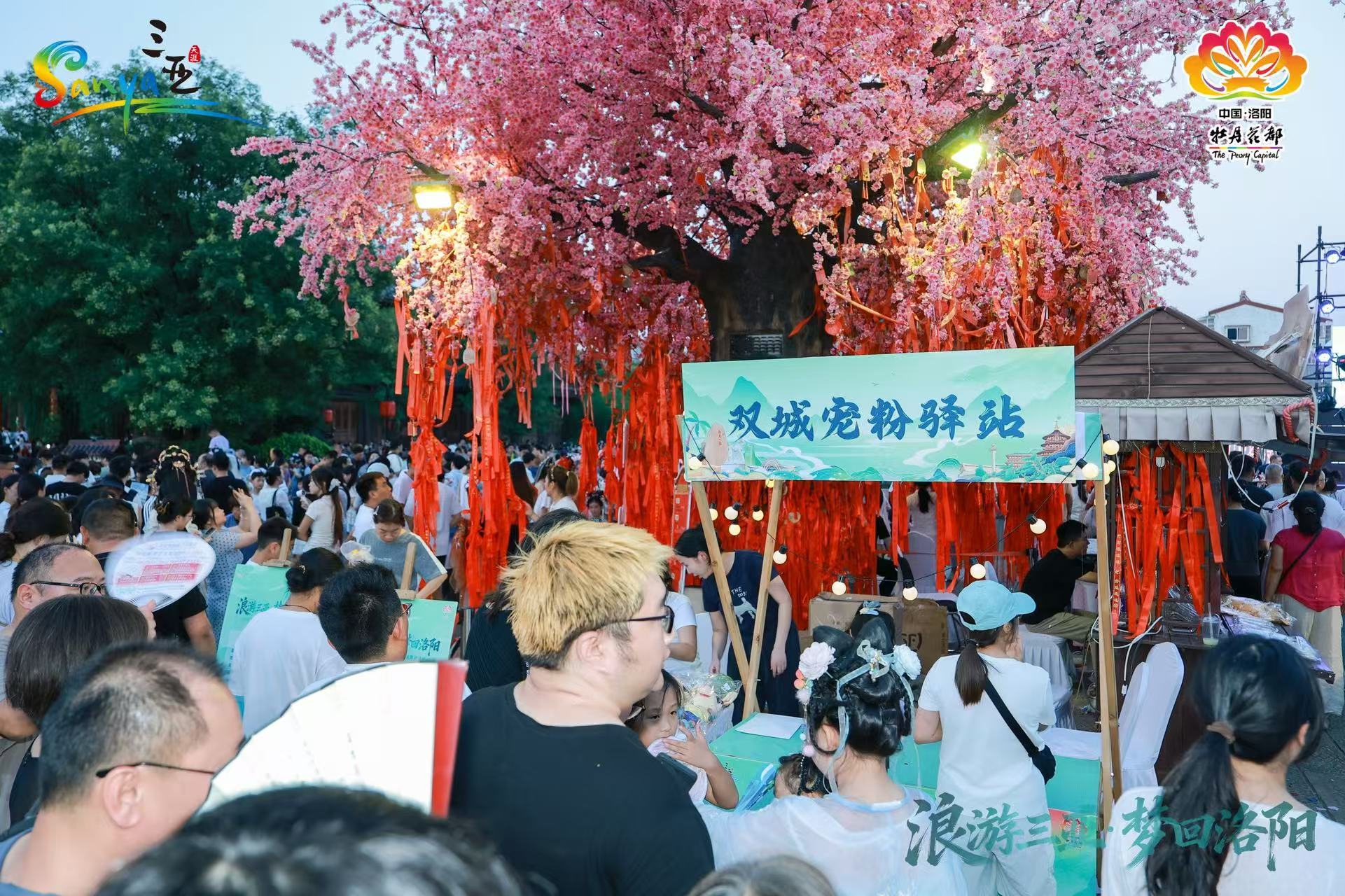 “浪游三亚&middot;梦回洛阳”双城联动活动圆满收官 六大精品主题线路精准发布