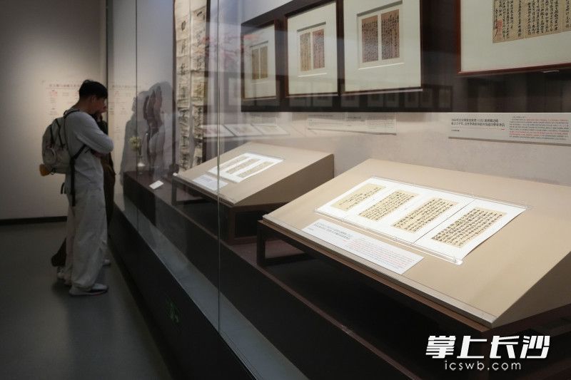 长沙博物馆特展“家国天下湖湘情——近代湖南名人作品展”。长沙晚报全媒体记者 邹麟 摄