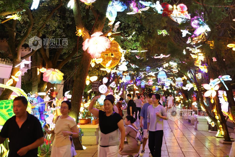 8月6日，游人在南昌天香园赏灯夜游。