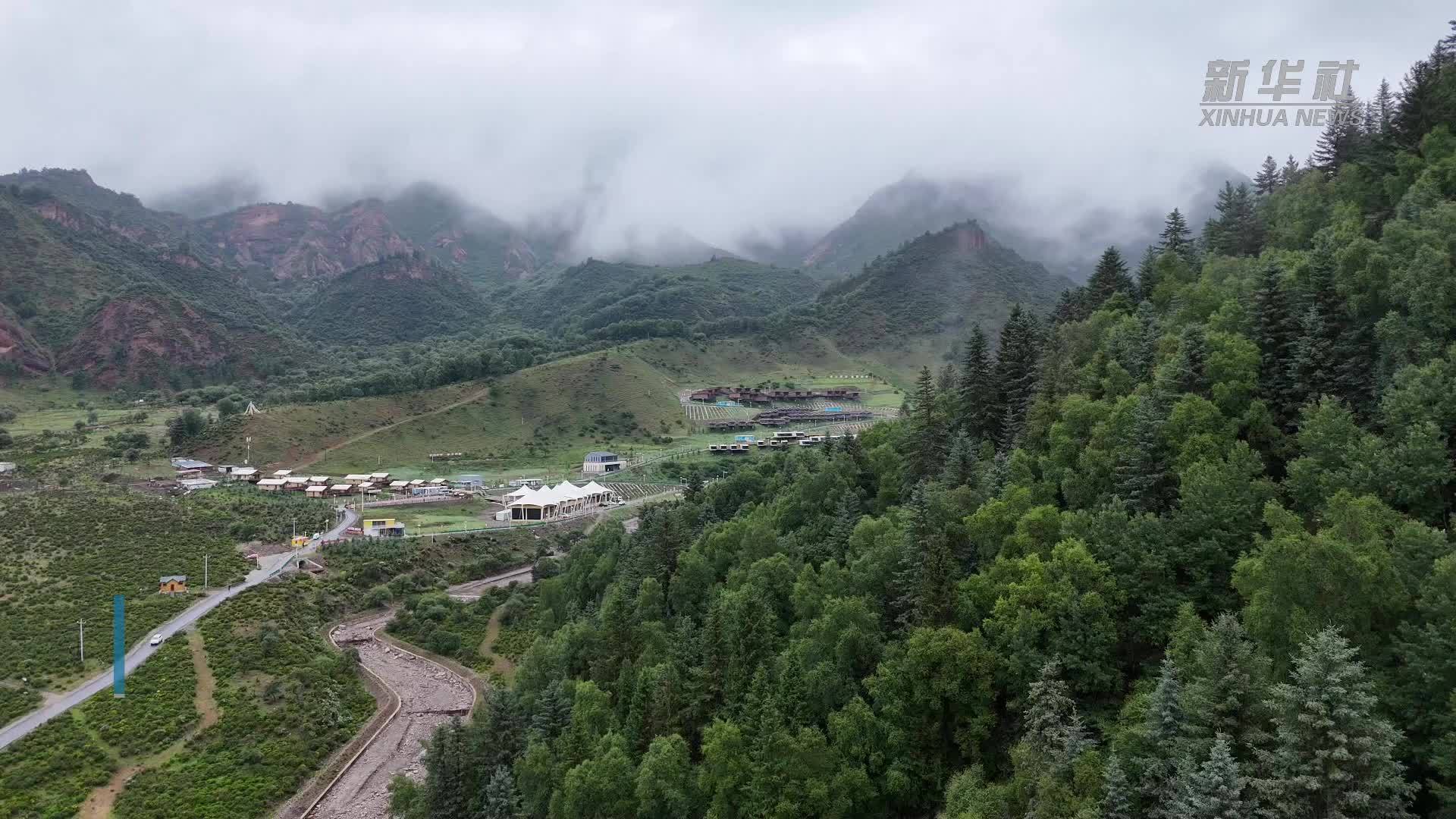 风从金陵来 绿在青海生