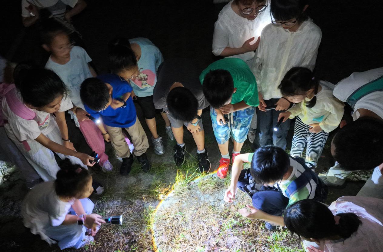 “美丽‘镇’发现”生态研学自然笔记活动走进九龙湖湿地