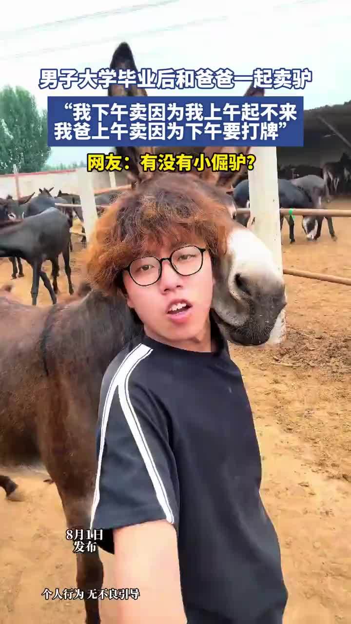男子大学毕业后和爸爸一起卖驴