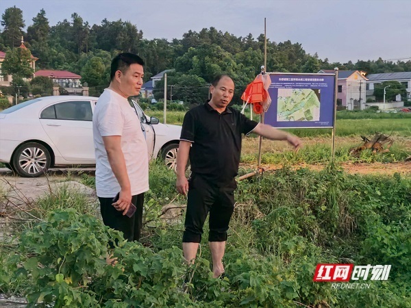 望城区白箬铺镇党员干部巡查八曲河沿线的骨干山塘。