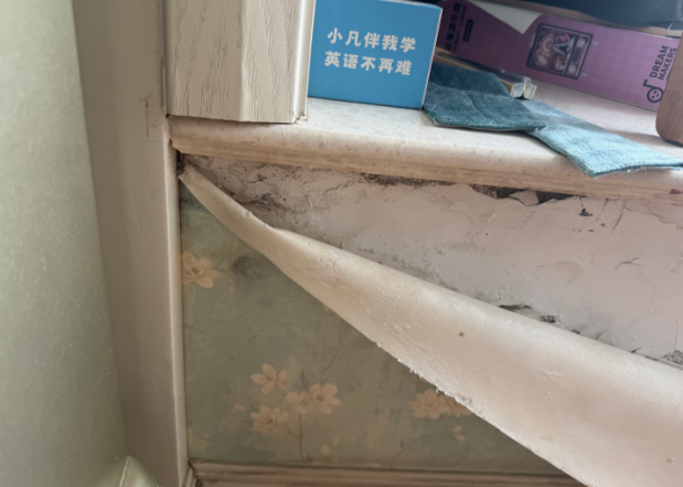 家中情况