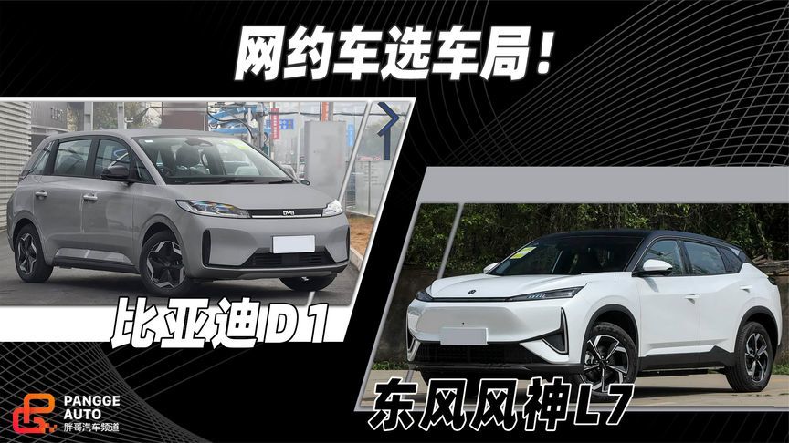 网约车选车局，选错回本慢半拍？