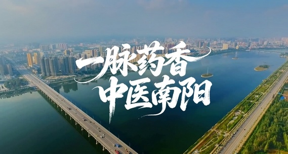 一脉药香，中医南阳