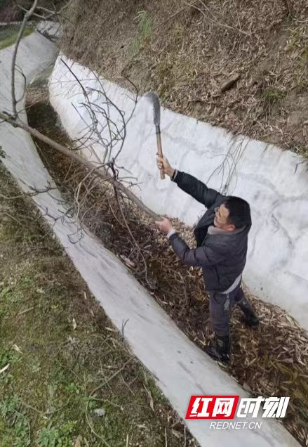 春汛前干渠疏浚清淤,保障干渠行洪畅通。