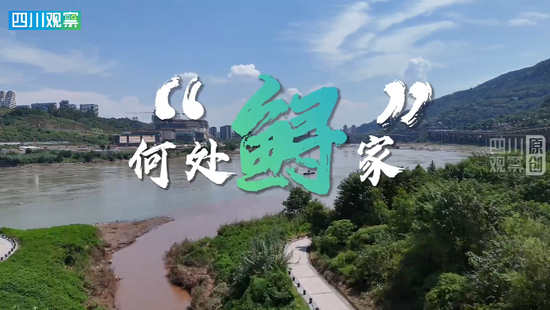 长江十年行｜何处“鲟”家？