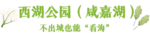默认标题__2026-07-24+10_16_05.png