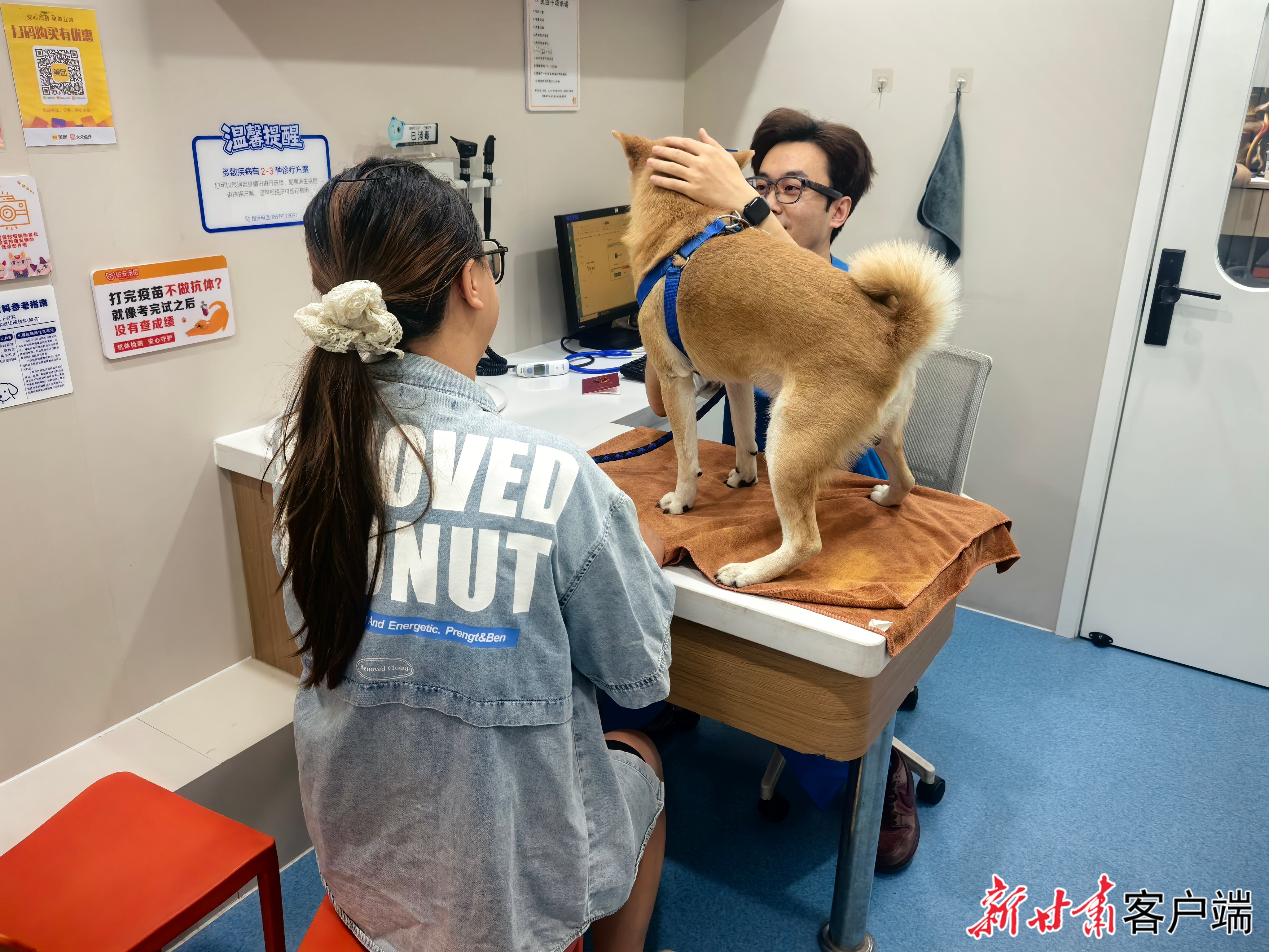 体验小众异宠办毛孩子运动会兰州宠物经济玩出花(图2)