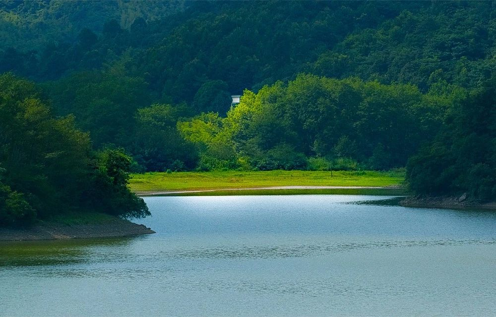 微信图片_2026-04-16_170841_047.png