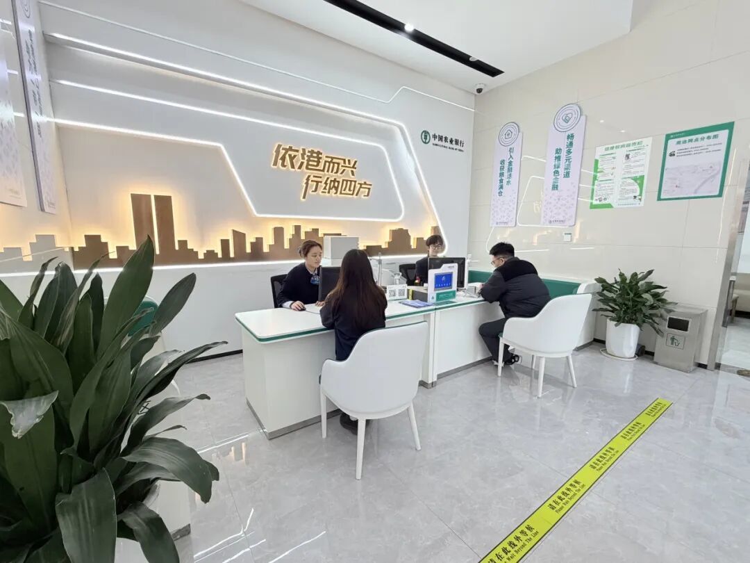 媒体看农行金融助力打造一流国际陆港(图2)