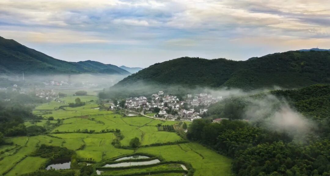 诗画东岛.jpg