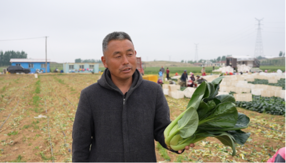 一肥六效,鲁花花生肽肥的化肥替代之路——在田间地头实地探访鲁花花生肽肥六大“超能力”