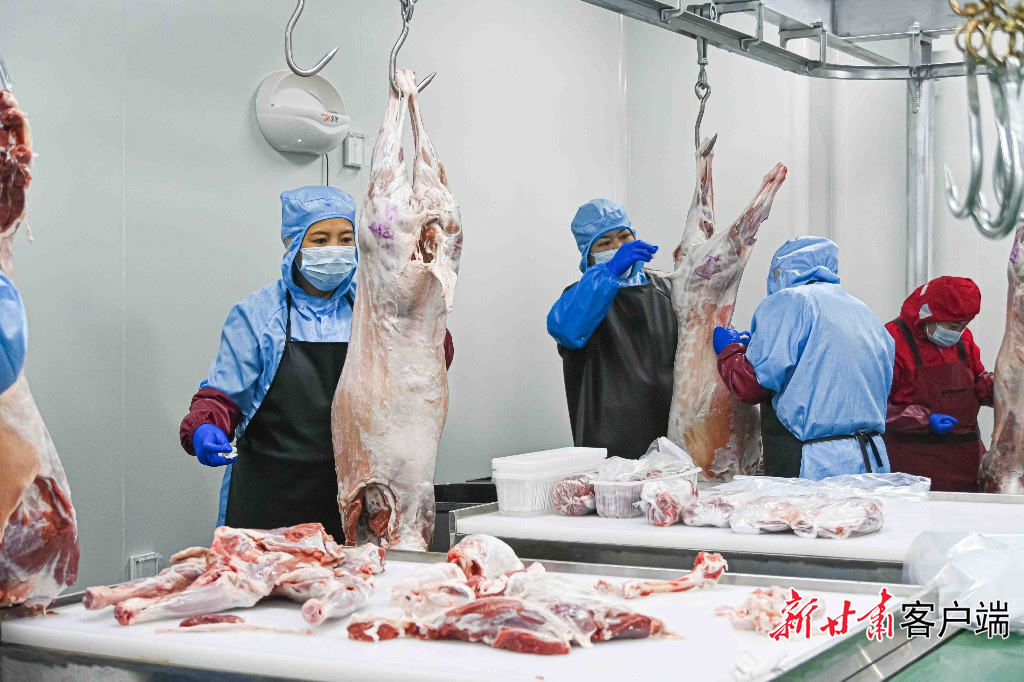 【甘快看】从大漠到餐桌:武威“甘味”的出陇之路(图3)