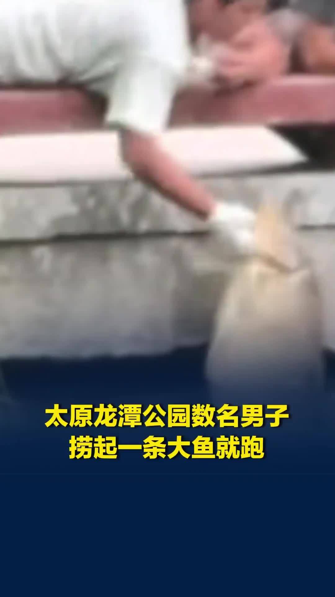 太原龙潭公园数名男子捞起一条大鱼就跑，公园已报警