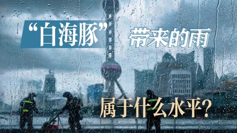 【究竟工作室】“白海豚”的雨，在台风里属于什么水平？