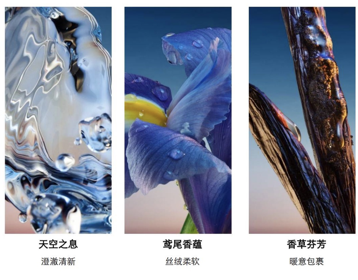 娇兰蓝调淡香精
