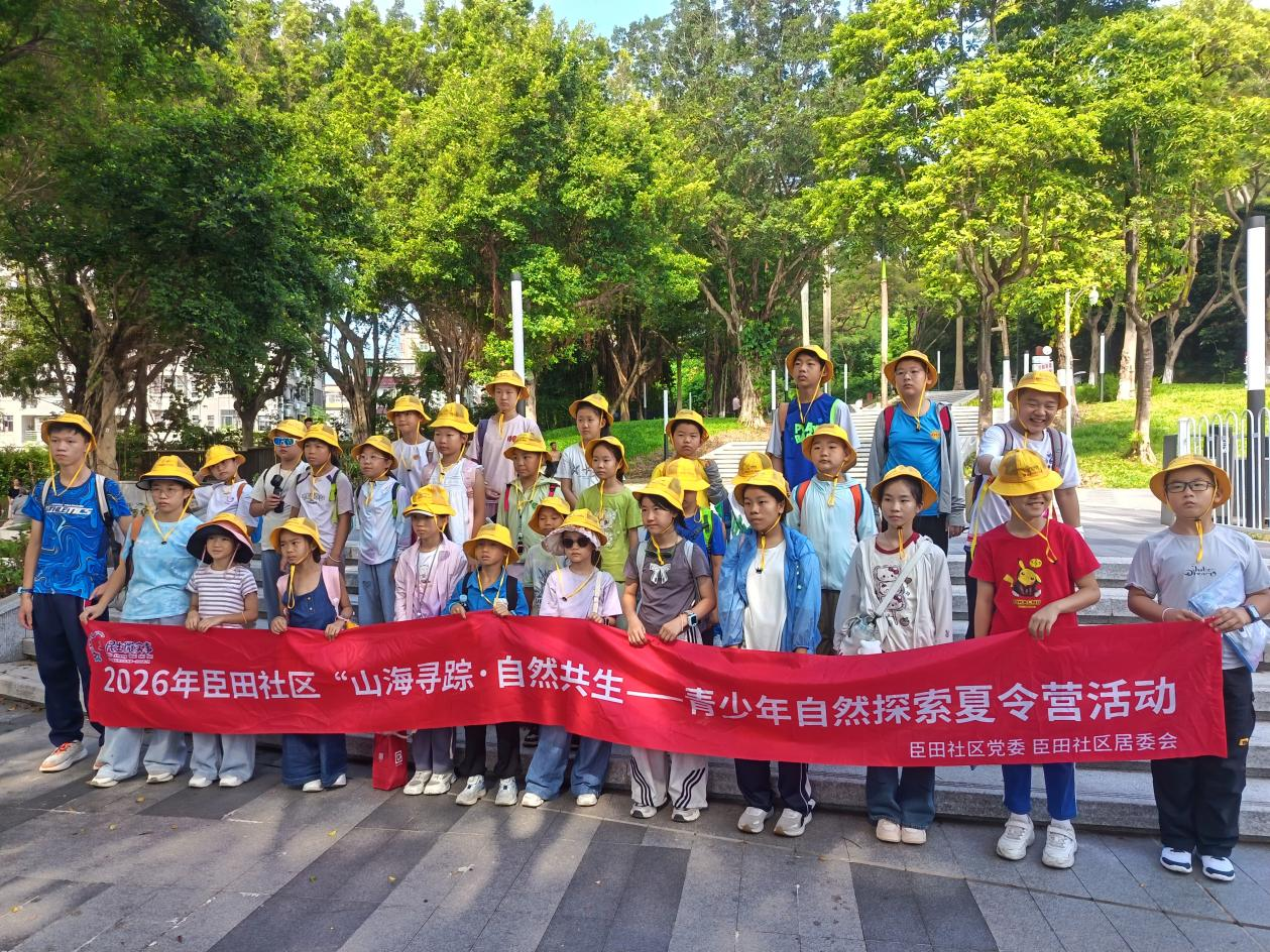 集体大合照