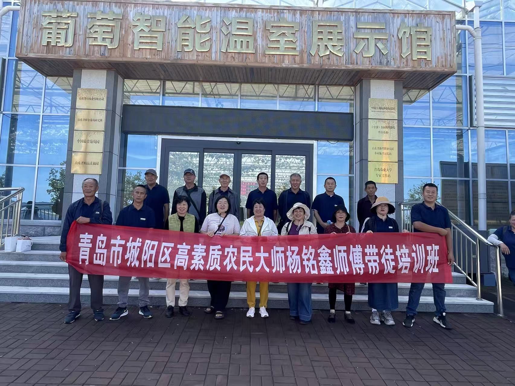 青岛乡里乡亲丨乡土文化带头人 杨铭鑫:田埂上的“植物医生”