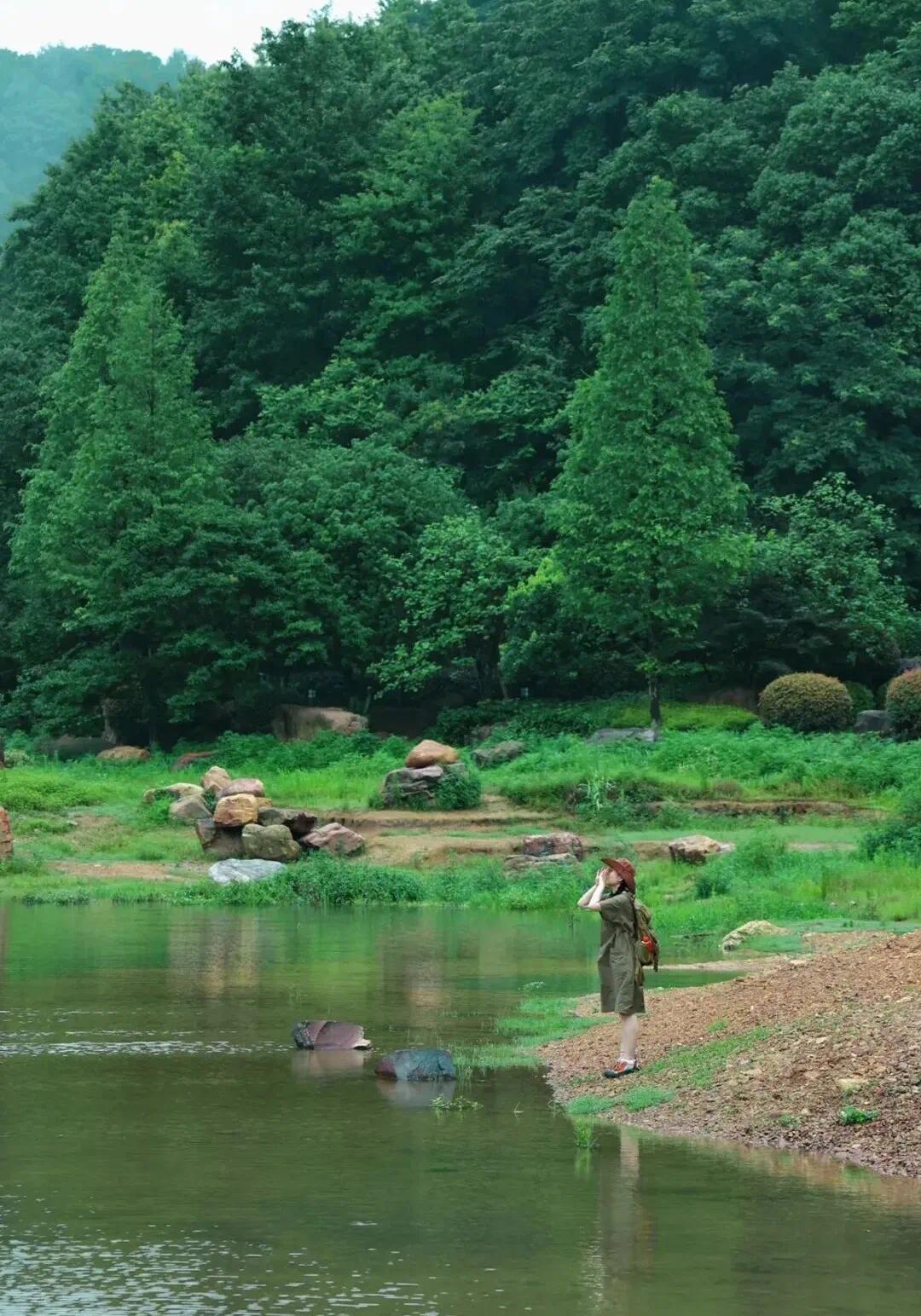 焖梨.jpg