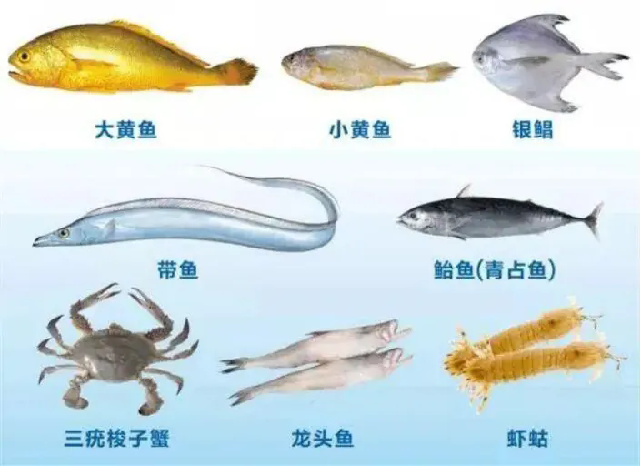640.webp (1).png
