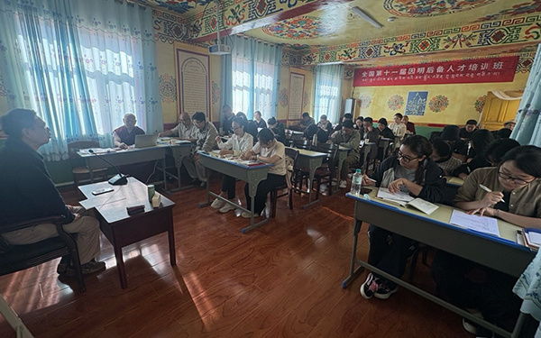 郑伟宏教授向培训班学员授课