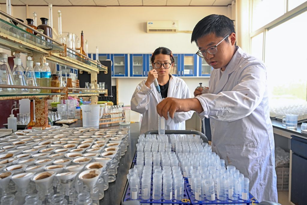 8月7日，中科院南皮生态农业试验站科研人员在实验室测量盐碱地土壤氮磷钾含量。