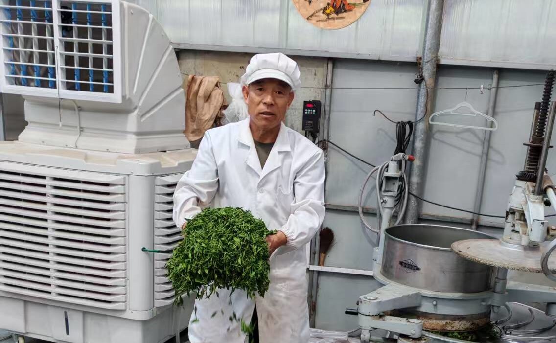 青岛乡里乡亲丨乡土文化带头人 殷清希:守“茶”五十载,匠心富乡亲