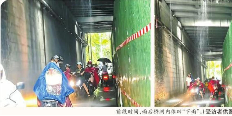 九江长虹大道一桥洞雨后持续滴水数月 市民过路遭淋“脏水”