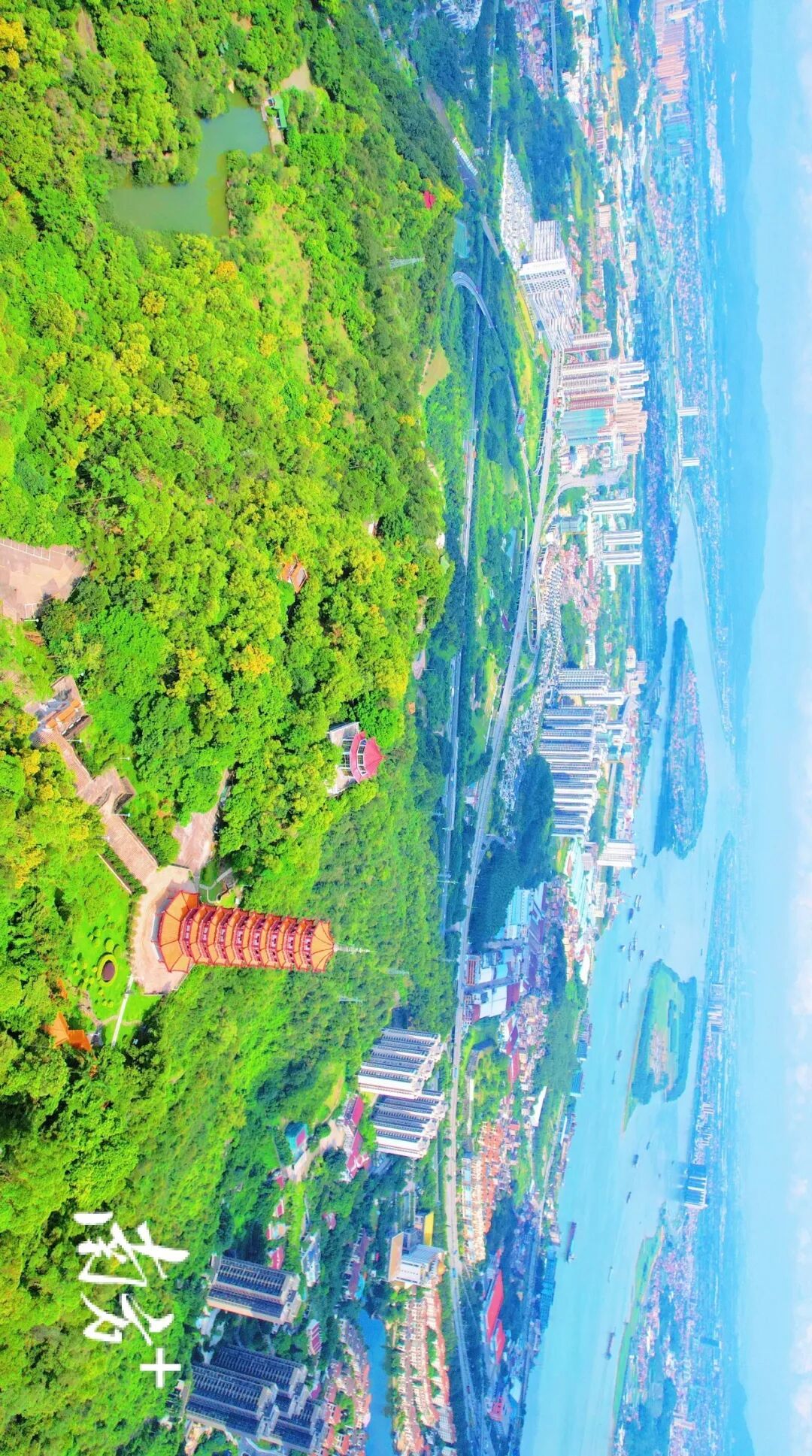 鹤山今年度植树总任务完成37万株,进度达128%。图为大雁山森林公园 麦和幸 摄