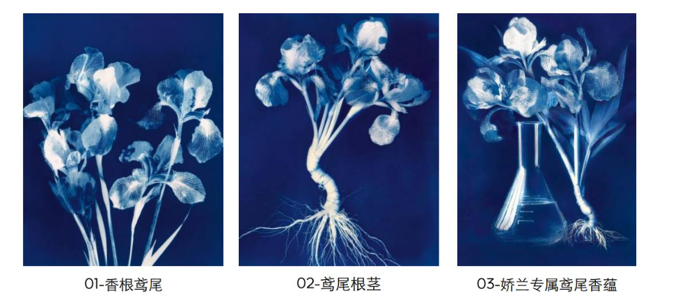 娇兰蓝调淡香精