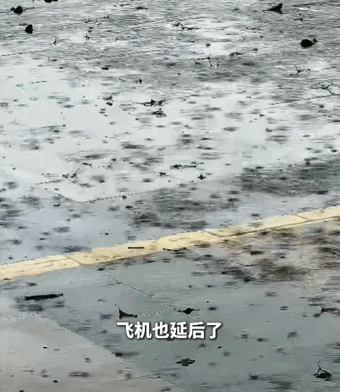 江北区酒店.gif