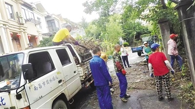 南昌县绿地山庄绿化带内存在大量建筑垃圾 县创建办：清理完毕