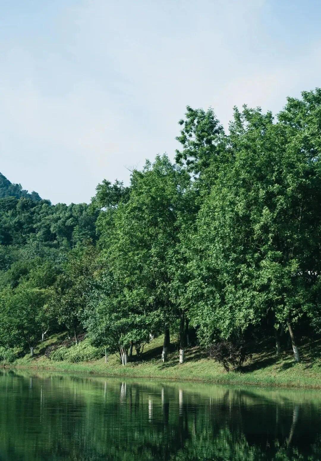 小池2.jpg