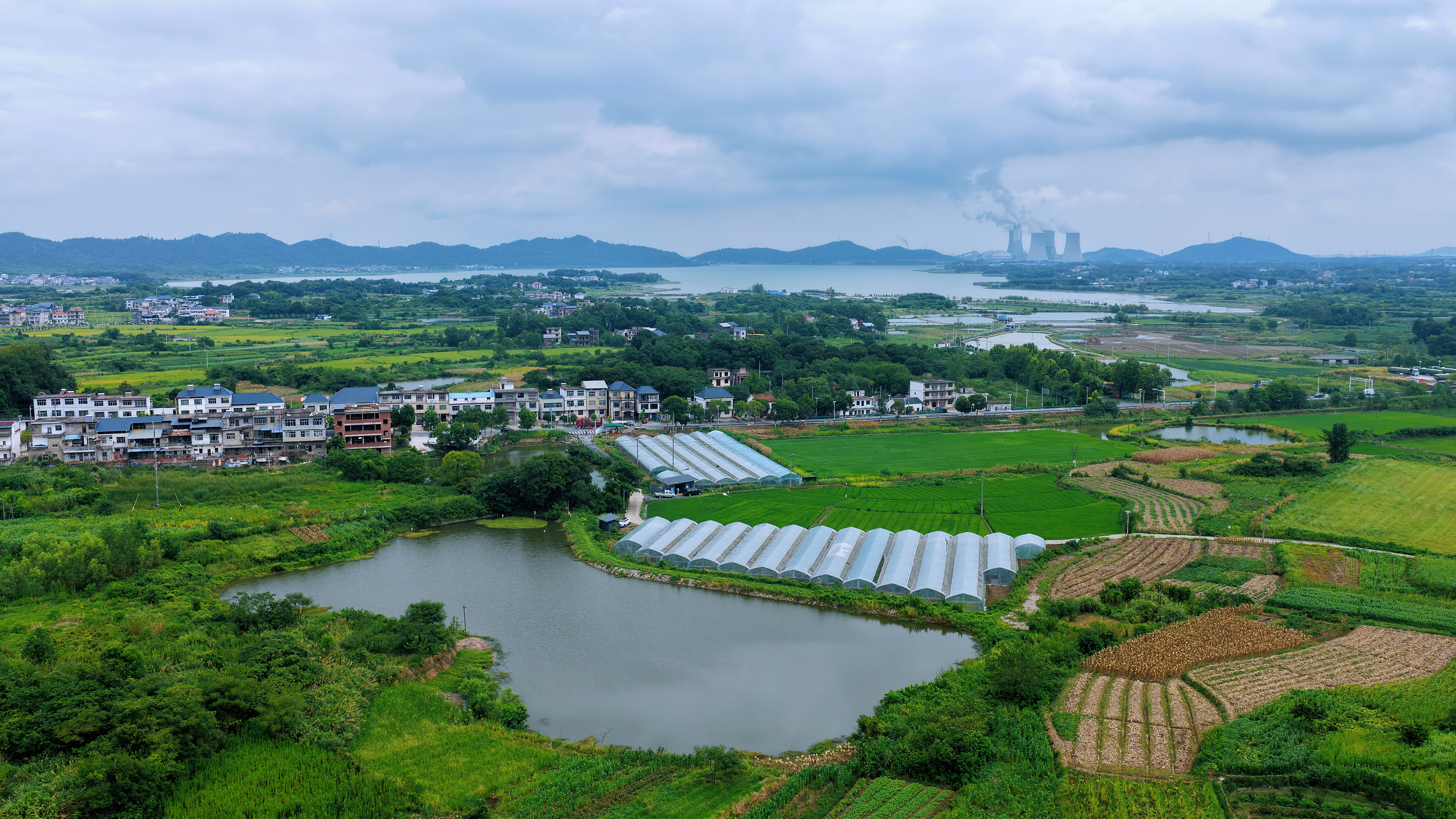 九江湖口:葡萄采摘正酣 “甜蜜经济”点亮乡村致富路