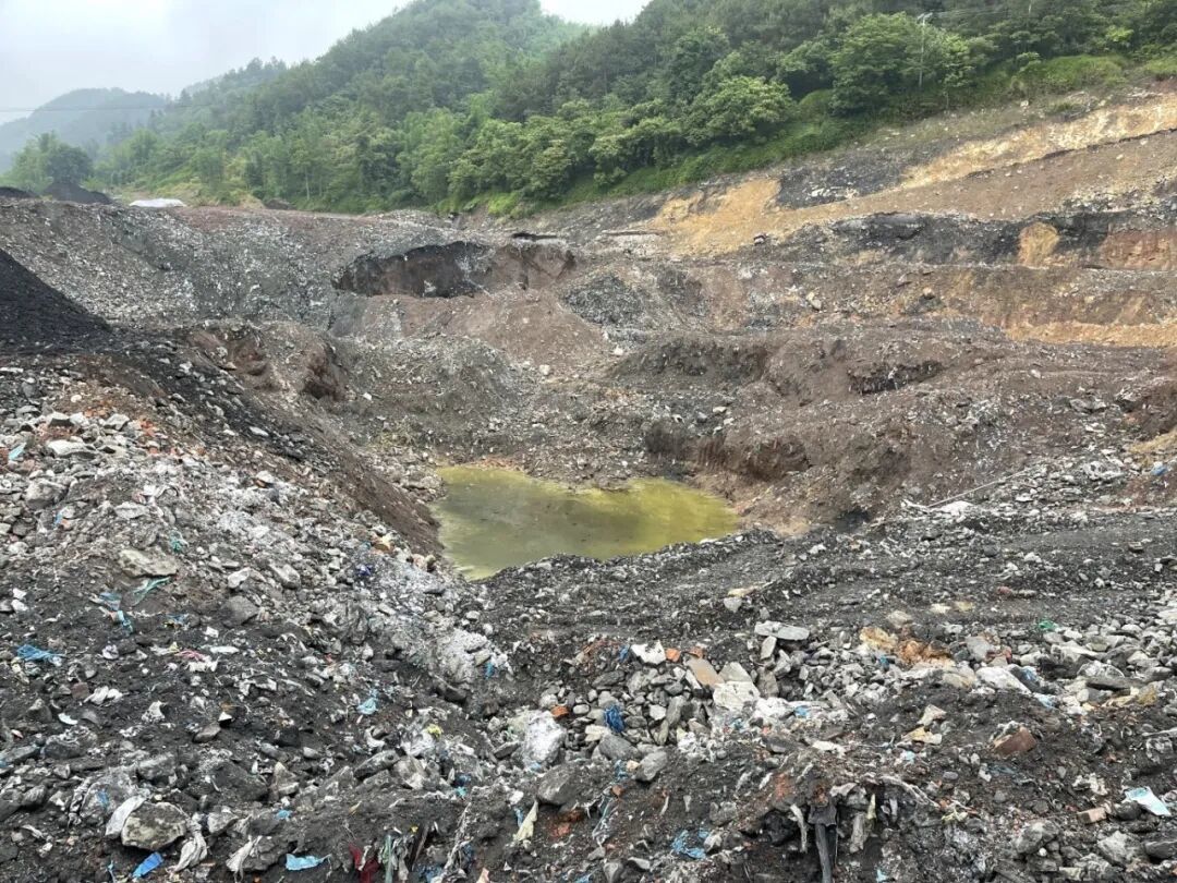 大湾调查照片3.JPG
