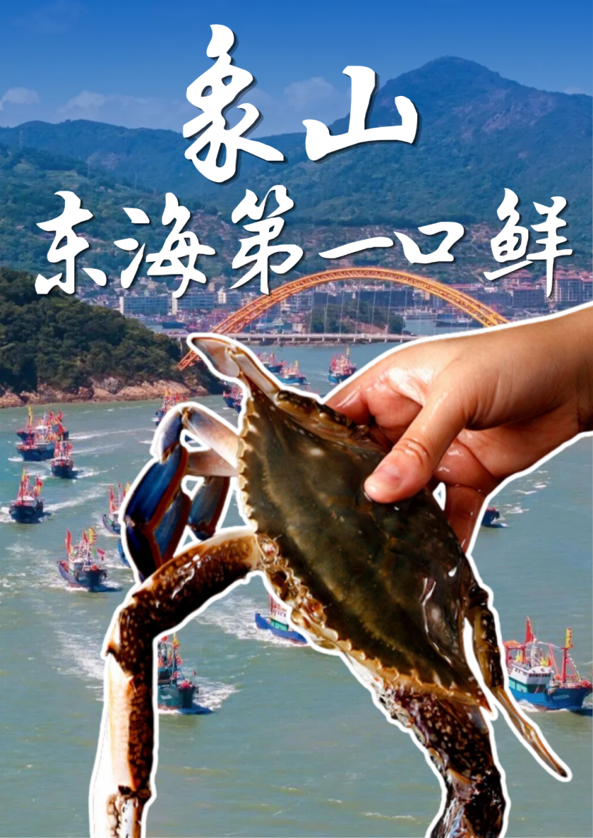 Blue Yellow and White Organic Animal Rights Poster.png
