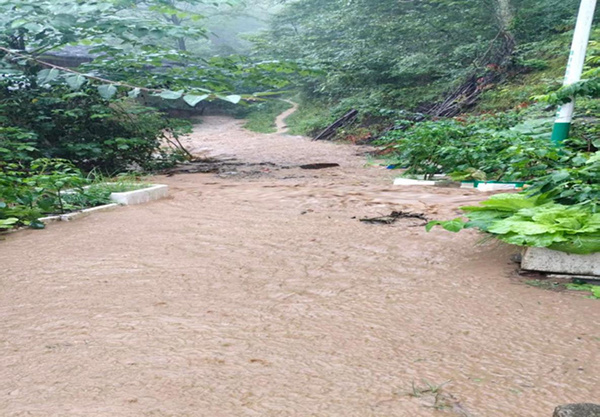 山坡水沟从山上流下的雨水浑浊照片