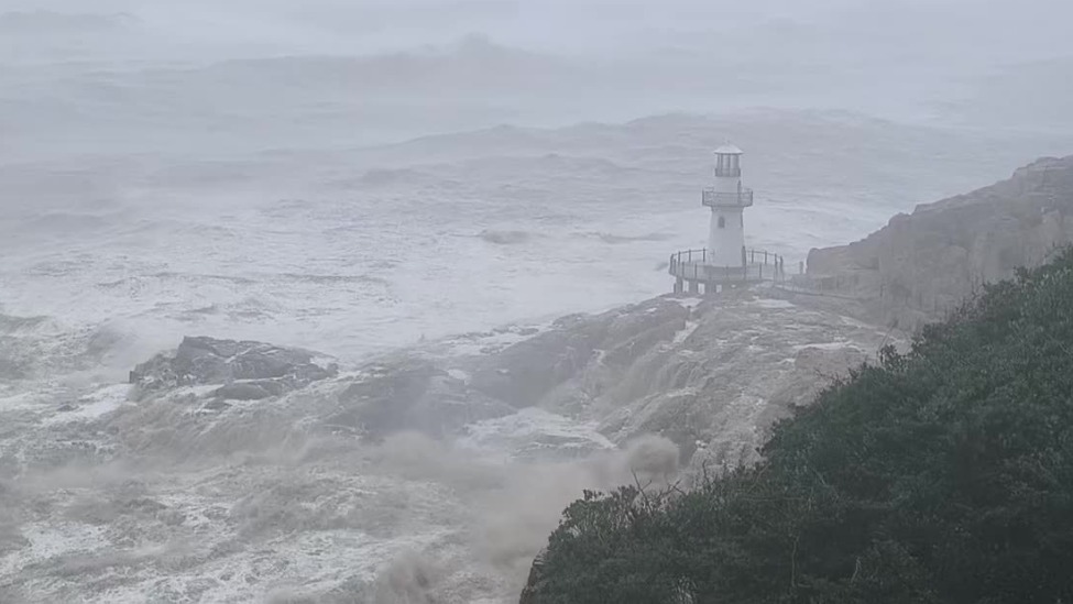 台风白海豚现场画面