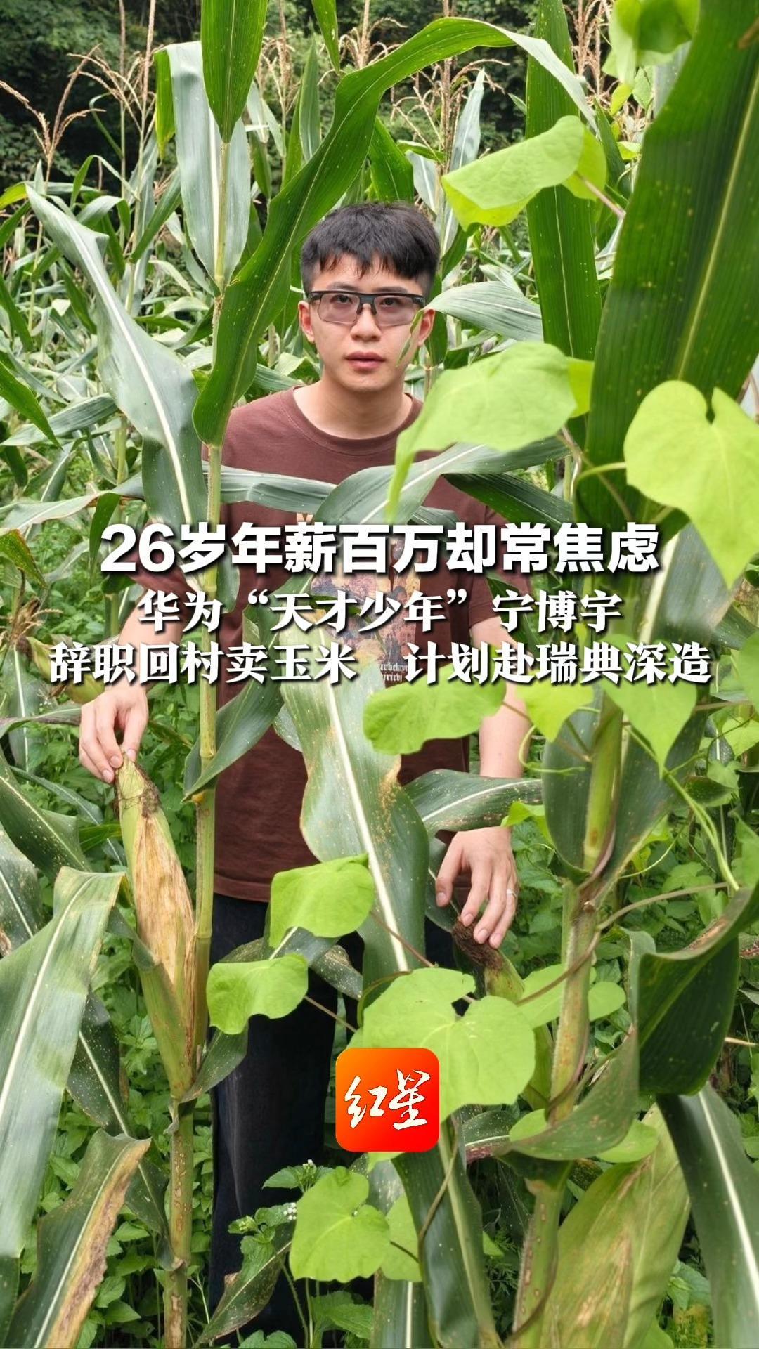 26岁年薪百万却常焦虑 华为 “天才少年”宁博宇 辞职回村卖玉米 计划赴瑞典深造 “人生本质就是一场体验”