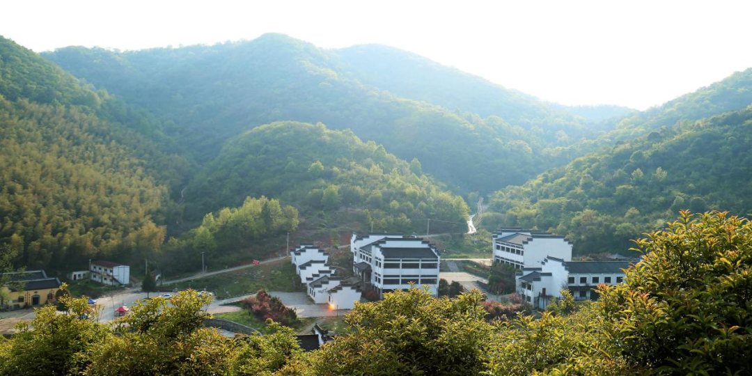 微信图片_2026-03-12_121132_333.png