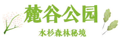 默认标题__2026-07-24+10_26_21.png