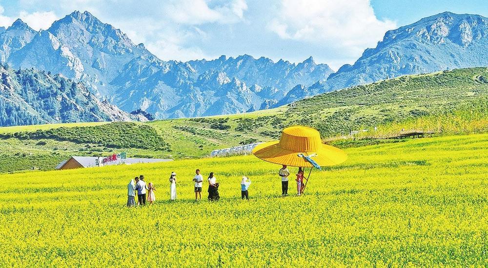 近日，民乐县扁都口生态休闲旅游区的油菜花进入盛花期，吸引众多游客前来观赏油菜花和避暑纳凉。新甘肃&middot;甘肃经济日报通讯员　王将　李选民　摄