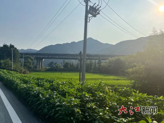 建设后(浮梁县黄坛乡 供图)