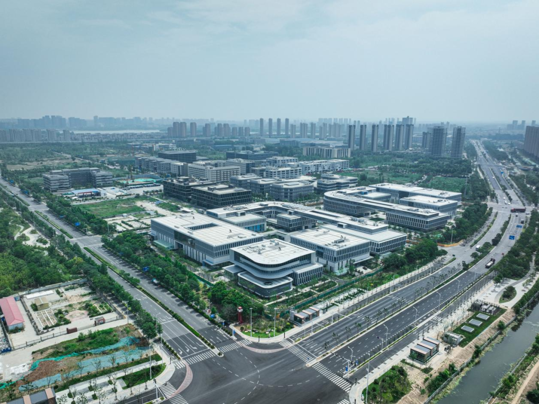 五个片区，如何拼出一个“新云龙”？