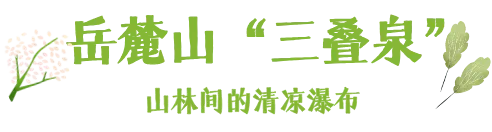 默认标题__2026-07-24+10_31_26.png